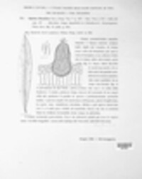 Septoria oleandrina image